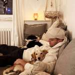 Ersteller:in Dominik Profilbild