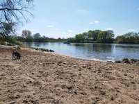 Hundeauslaufgebiet-Weser am Weserstadion-Bild