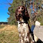 Ersteller:in Uwe Profilbild