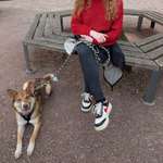 Ersteller:in Luisa Profilbild