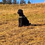 Ersteller:in Niklas Profilbild