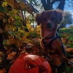 Ersteller:in Nele Profilbild