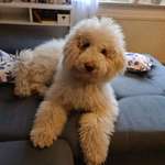 Ersteller:in Brigitte Profilbild