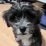 Ersteller:in Miriam Profilbild