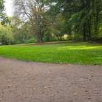 Hundeauslaufgebiet-Sandfoort/Langenhorner Chaussee-Bild