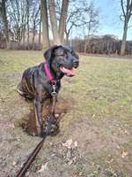 Geschwistersuche von Elsa-Beitrag-Bild