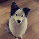 Ersteller:in Lena Profilbild