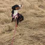 Ersteller:in mi Profilbild