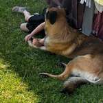 Ersteller:in Jenny und Basti Profilbild