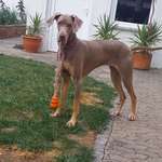 Ersteller:in Mona Profilbild