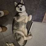 Ersteller:in Melanie Profilbild