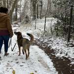 Ersteller:in Özi Profilbild