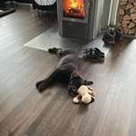 Ersteller:in Marco Profilbild