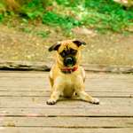 Ersteller:in Stefanie Profilbild