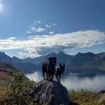 Ersteller:in Selina Profilbild