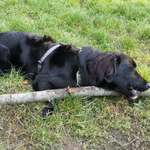 Ersteller:in Antonia Profilbild