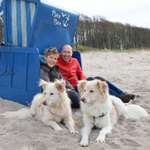 Ersteller:in Cumulus_ Profilbild