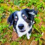 Ersteller:in Kira Profilbild