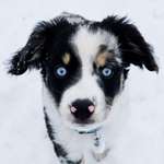 Ersteller:in Kira Profilbild