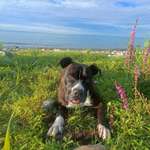 Ersteller:in Susanna Profilbild