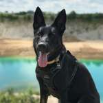 Ersteller:in Franziska Profilbild