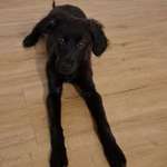 Ersteller:in Tabea Profilbild