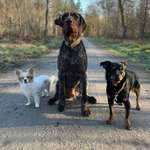 Ersteller:in Julia Profilbild