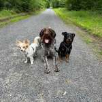 Ersteller:in Julia Profilbild