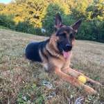 Ersteller:in Alex Profilbild