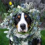 Ersteller:in Viktoria Profilbild