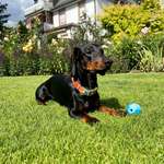 Ersteller:in Johanna Profilbild