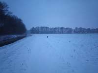 Hundeauslaufgebiet-Hemelter Bach-Bild