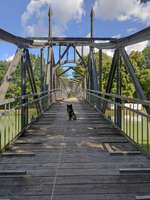 Hundeauslaufgebiet-Nasses Dreieck + Huckeberg-Bild