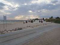 Hundeauslaufgebiet-Steinwarder Promenade-Bild