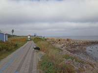 Hundeauslaufgebiet-Steinwarder Promenade-Bild