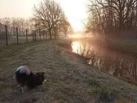 Hundeauslaufgebiet-Hemelter Bach-Bild