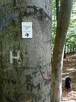 Hundeauslaufgebiet-Nasses Dreieck + Huckeberg-Bild