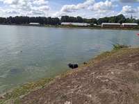 Hundeauslaufgebiet-Nasses Dreieck + Huckeberg-Bild