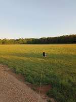 Hundeauslaufgebiet-Hemelter Bach-Bild