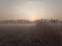 Hundeauslaufgebiet-Hemelter Bach-Bild