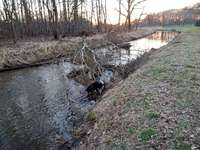 Hundeauslaufgebiet-Hemelter Bach-Bild