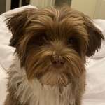 Ersteller:in Nathalie und Wiebke Profilbild