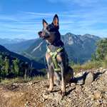 Ersteller:in Ramona Profilbild