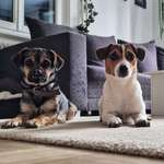 Ersteller:in Selina Profilbild