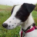 Ersteller:in Rita Profilbild