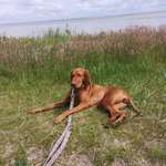 Ersteller:in Birgit Profilbild