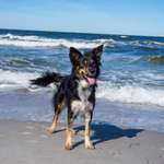 Ersteller:in Franzi Profilbild