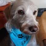 Ersteller:in Meikebeate Profilbild