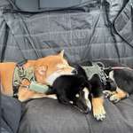 Ersteller:in Lea Profilbild