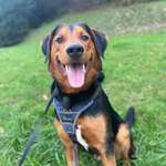 Ersteller:in Melanie Profilbild